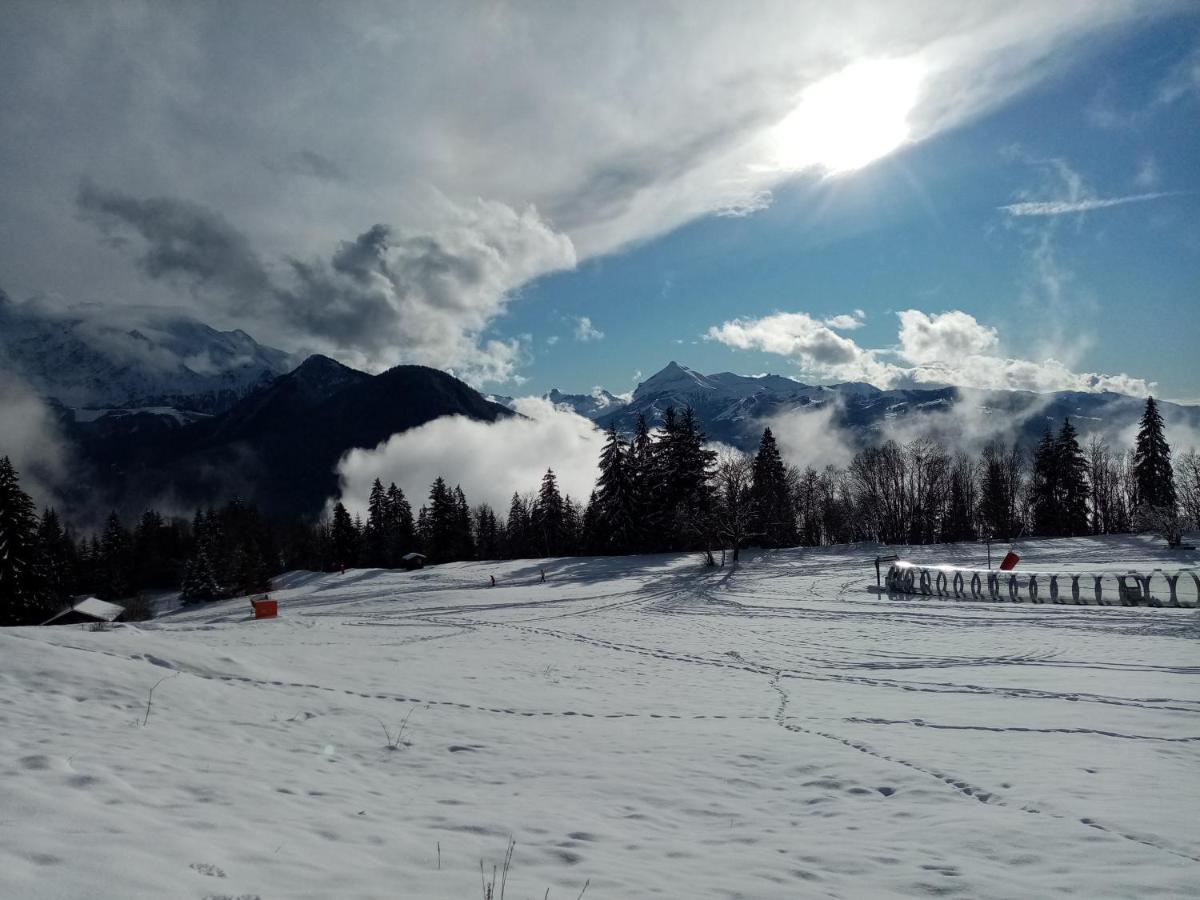 Mont Etape , F2, 42 M2, Calme, Vue Mt Blanc Apartman Passy Kültér fotó