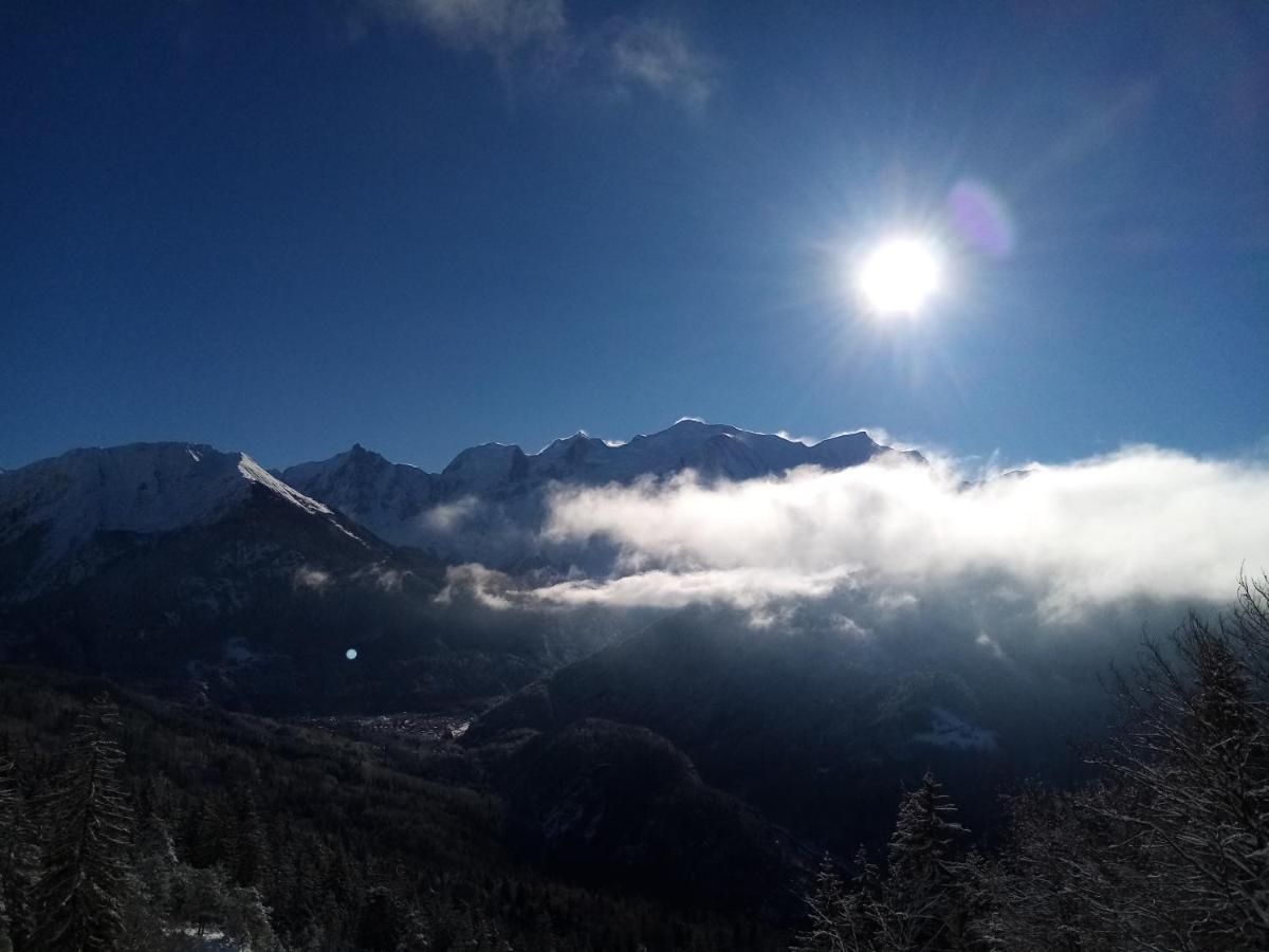 Mont Etape , F2, 42 M2, Calme, Vue Mt Blanc Apartman Passy Kültér fotó