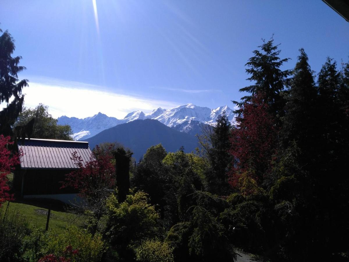 Mont Etape , F2, 42 M2, Calme, Vue Mt Blanc Apartman Passy Szoba fotó